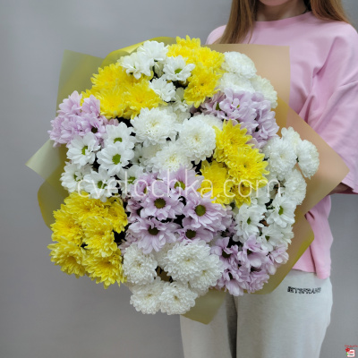 Букет из 15 кустовых хризантем с доставкой в Магнитогорске 