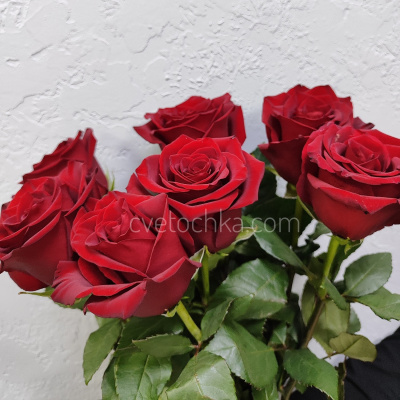 7 бордовых роз 80 см