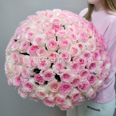 Букет из 101 розы Эквадор 50 см. Цвет на выбор