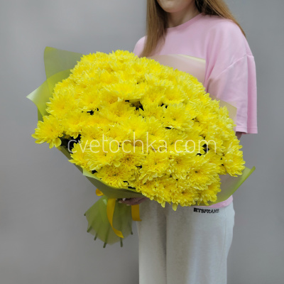 15 кустовых хризантем. Цвет на выбор