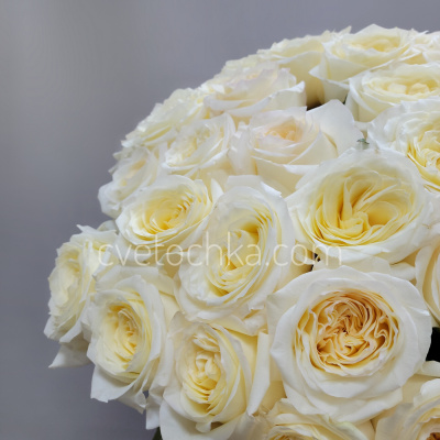 Букет из 51 сливочной розы Эквадор 50 см