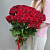 Букет из 51 бордовой розы Эквадор 80 см с доставкой в Магнитогорске 