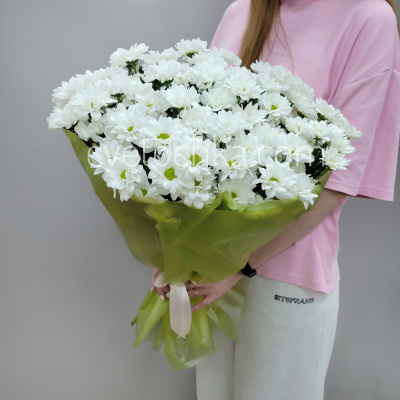 Букет из 11 кустовых хризантем. Цвет на выбор