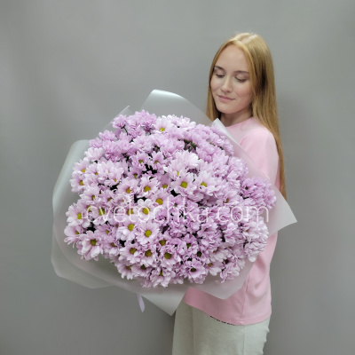 Букет из 25 кустовых хризантем. Цвет на выбор