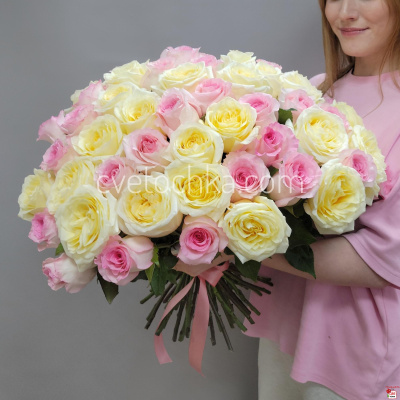 Букет из 51 сливочной и нежно-розовой розы Эквадор 50 см с доставкой в Магнитогорске 