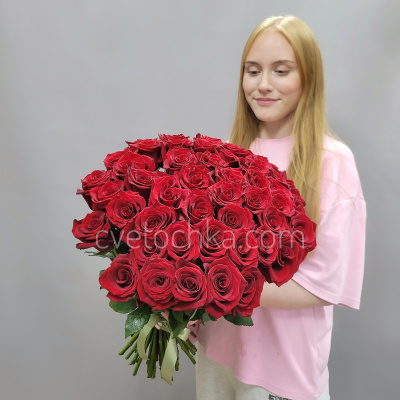 Букет из 51 бордовой розы Эквадор 60 см