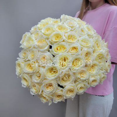 Букет из 51 сливочной розы Эквадор 50 см