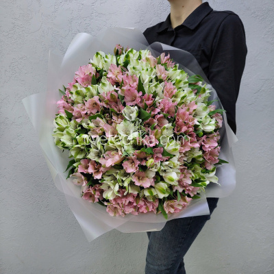 Букет из 51 альстромерии