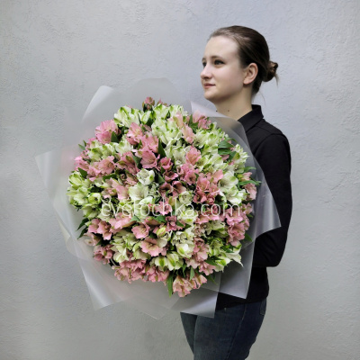 Букет из 51 альстромерии