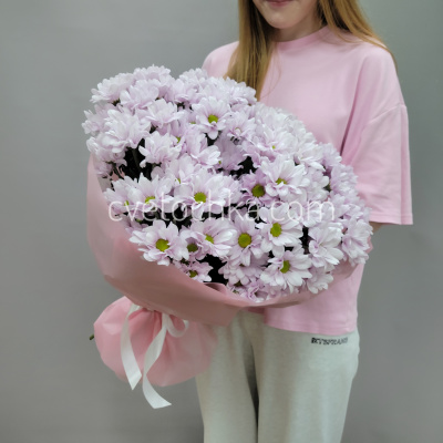 Букет из 11 кустовых хризантем. Цвет на выбор