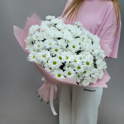 15 кустовых хризантем. Цвет на выбор