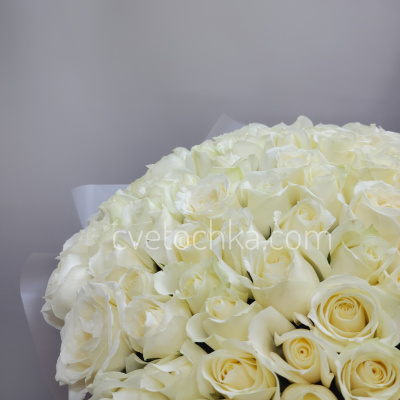 Букет из 101 белой мини розы