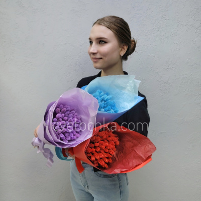 Букет сухоцветов с фалярисом №18. Цвет на выбор