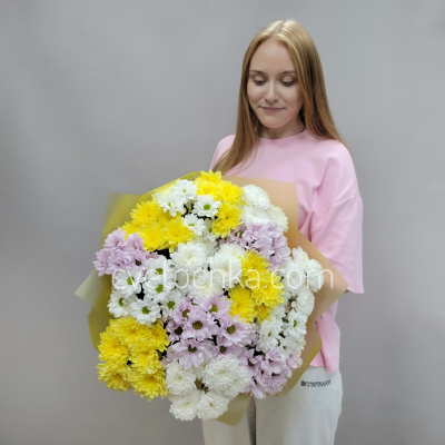 15 кустовых хризантем микс