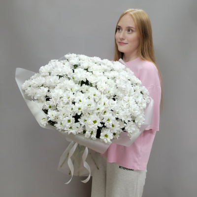 Букет из 25 кустовых хризантем. Цвет на выбор