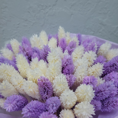 Букет сухоцветов с фалярисом №19. Цвет на выбор