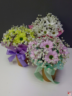 Стаканчик с хризантемой и гипсофилой с доставкой в Магнитогорске