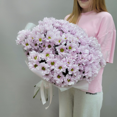 15 кустовых хризантем. Цвет на выбор