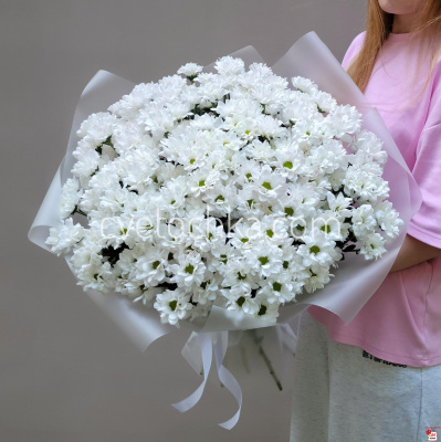 Букет из 25 белых ромашковых кустовых хризантем с доставкой в Магнитогорске